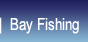 Bay Fishing
